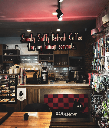 Indoor dog care space