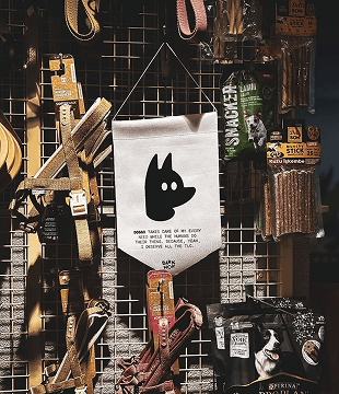 Pet Shop service illustration